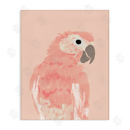 Chen Alyesh | Pink Neutral Parrot