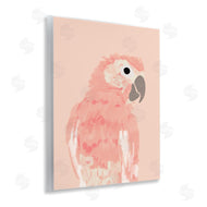Chen Alyesh | Pink Neutral Parrot