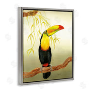 Christine Reichow | One Toucan on Branch