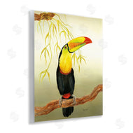 Christine Reichow | One Toucan on Branch