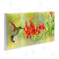 Christine Reichow | Quick Sip Hummingbird