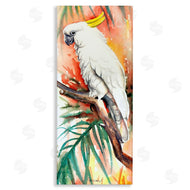 Christine Reichow | Sulfer Crested Cockatoo