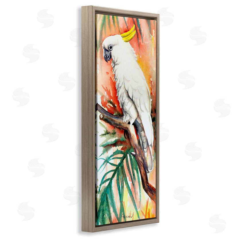 Christine Reichow | Sulfer Crested Cockatoo