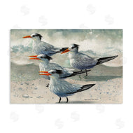 Christine Reichow | Birds on Sandy Beach