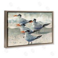 Christine Reichow | Birds on Sandy Beach