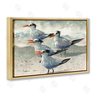 Christine Reichow | Birds on Sandy Beach