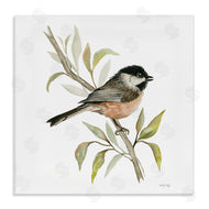 Cindy Jacobs | Sparrow on Branch