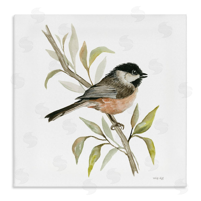 Cindy Jacobs | Sparrow on Branch