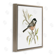 Cindy Jacobs | Sparrow on Branch