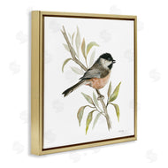 Cindy Jacobs | Sparrow on Branch