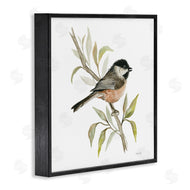 Cindy Jacobs | Sparrow on Branch
