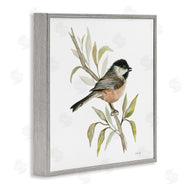 Cindy Jacobs | Sparrow on Branch