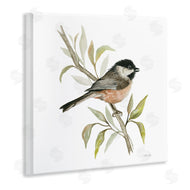 Cindy Jacobs | Sparrow on Branch