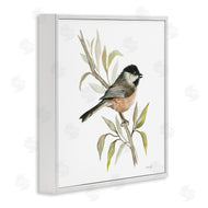 Cindy Jacobs | Sparrow on Branch