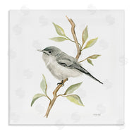 Cindy Jacobs | Bird on Simple Branch
