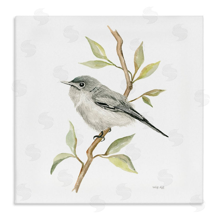 Cindy Jacobs | Bird on Simple Branch