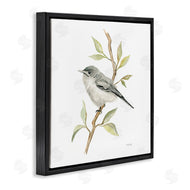 Cindy Jacobs | Bird on Simple Branch