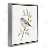 Cindy Jacobs | Bird on Simple Branch