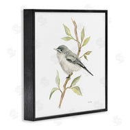 Cindy Jacobs | Bird on Simple Branch