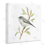 Cindy Jacobs | Bird on Simple Branch