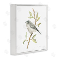 Cindy Jacobs | Bird on Simple Branch