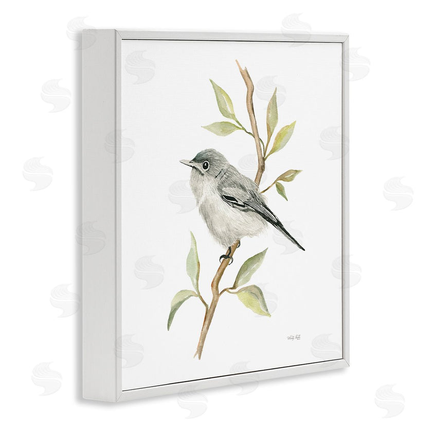 Cindy Jacobs | Bird on Simple Branch