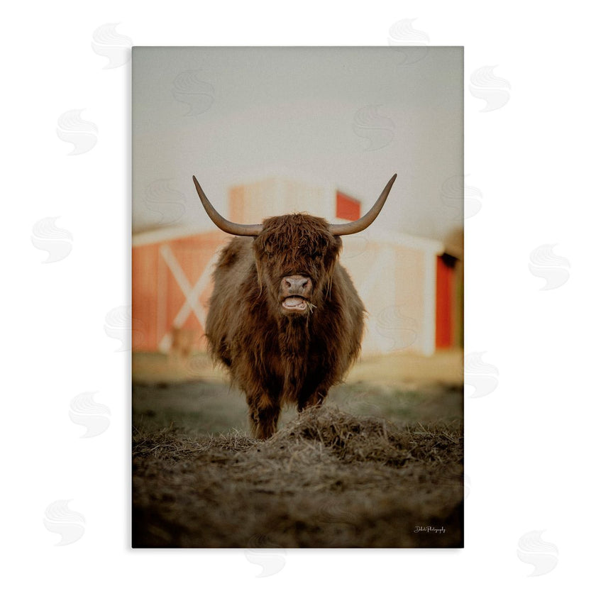 Dakota Diener | Cattle on Farm Field