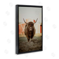 Dakota Diener | Cattle on Farm Field