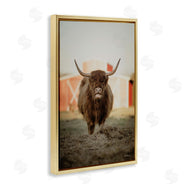Dakota Diener | Cattle on Farm Field