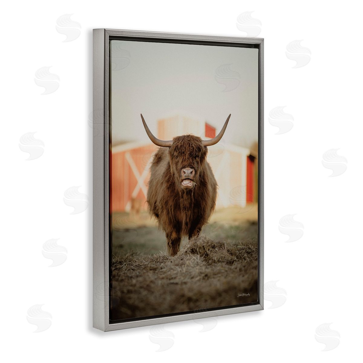 Cattle on Farm Field Grey Floating Frame Canvas Wall Art, Home Decor by Dakota Diener