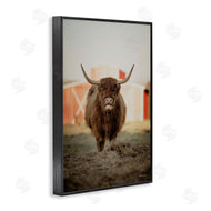 Dakota Diener | Cattle on Farm Field