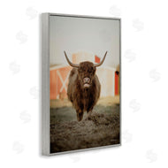 Dakota Diener | Cattle on Farm Field