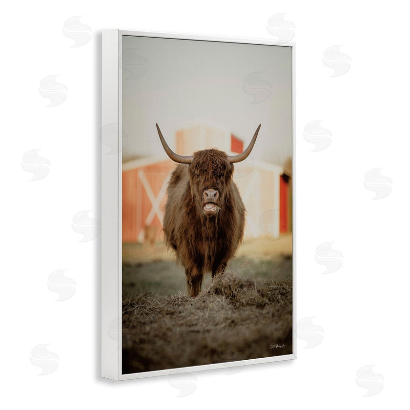 Dakota Diener | Cattle on Farm Field