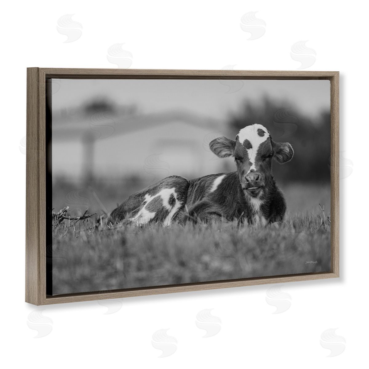 Resting Cow in Grass Brown Floating Frame Canvas Wall Art, Home Decor by Dakota Diener