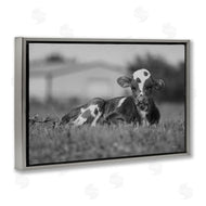 Dakota Diener | Resting Cow in Grass