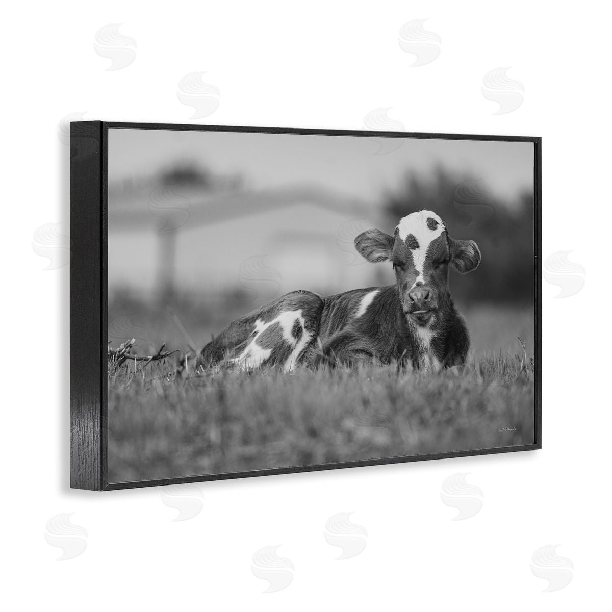 Resting Cow in Grass Black Frame Print Wall Art, Home Decor by Dakota Diener