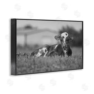 Dakota Diener | Resting Cow in Grass