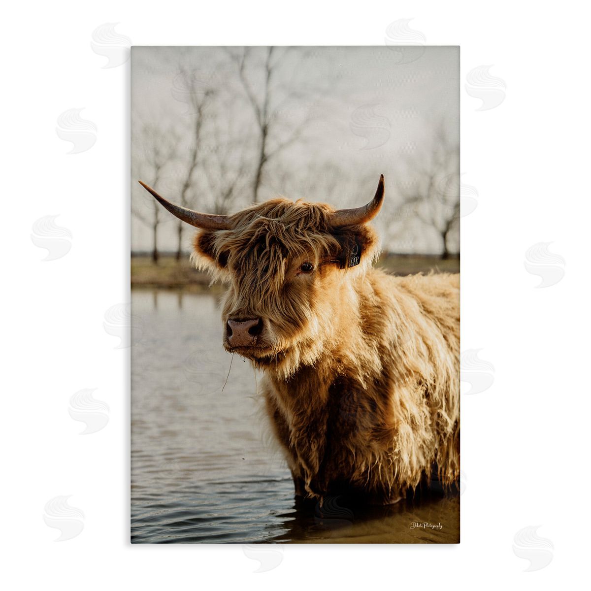 Peering Cattle in Water Canvas Wall Art, Home Decor by Dakota Diener