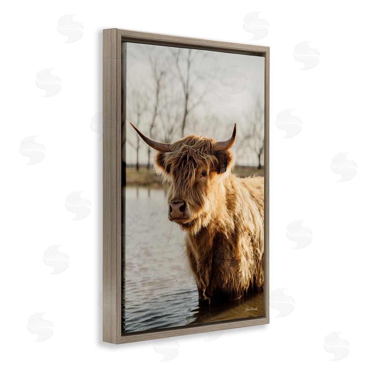 Peering Cattle in Water Brown Floating Frame Canvas Wall Art, Home Decor by Dakota Diener