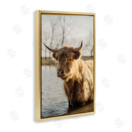 Dakota Diener | Peering Cattle in Water