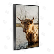 Dakota Diener | Peering Cattle in Water