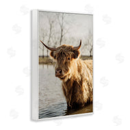 Dakota Diener | Peering Cattle in Water