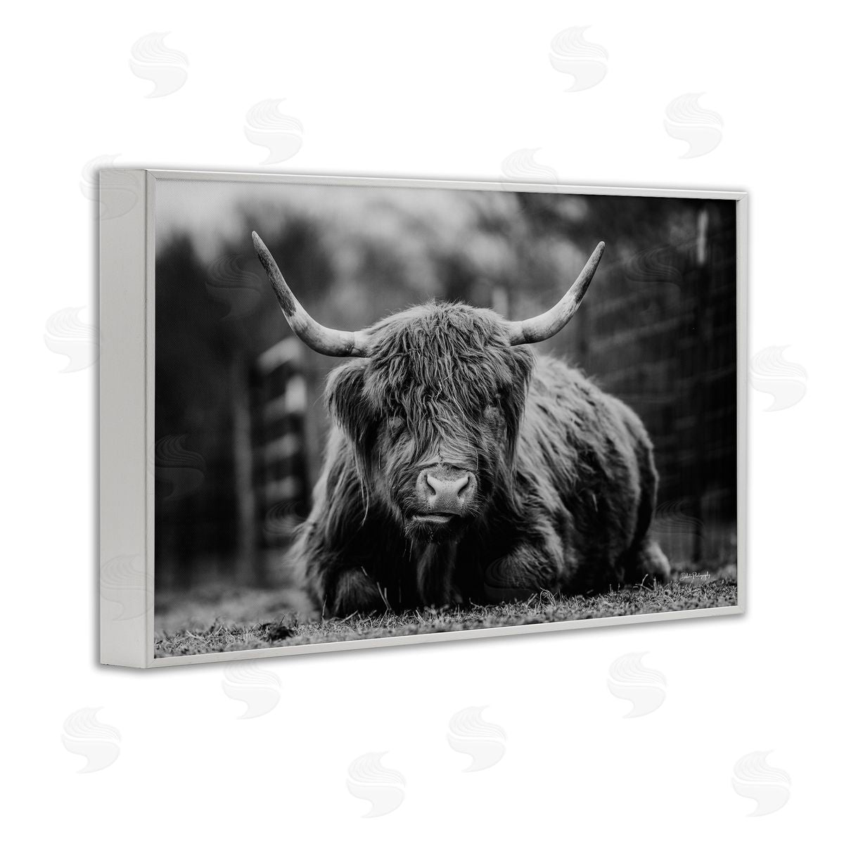 Cattle Laying in Grass White Frame Print Wall Art, Home Decor by Dakota Diener