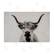 Dakota Diener | Calm Cattle Portrait
