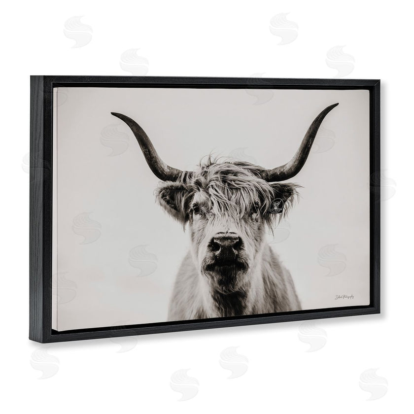 Dakota Diener | Calm Cattle Portrait