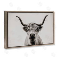 Dakota Diener | Calm Cattle Portrait