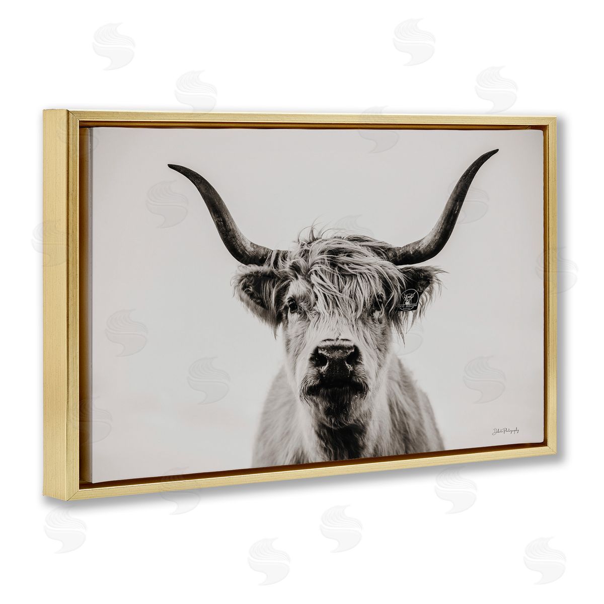 Calm Cattle Portrait Gold Floating Frame Canvas Wall Art, Home Decor by Dakota Diener