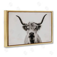 Dakota Diener | Calm Cattle Portrait