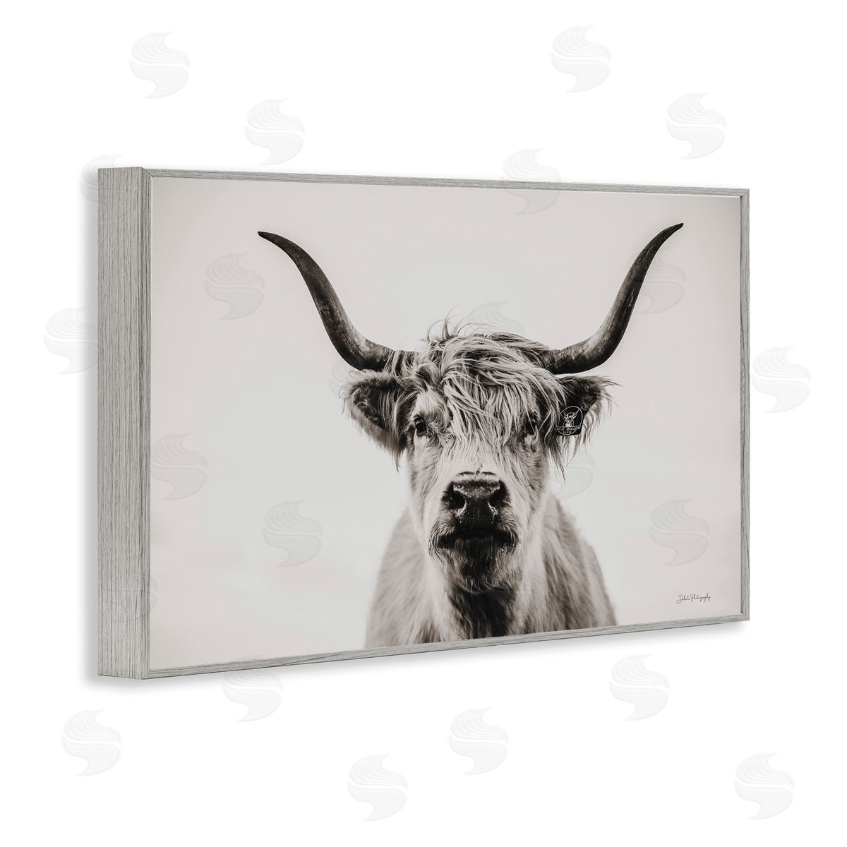 Calm Cattle Portrait Grey Frame Print Wall Art, Home Decor by Dakota Diener