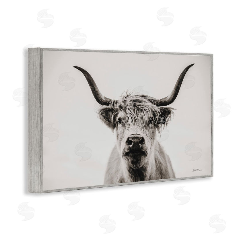Dakota Diener | Calm Cattle Portrait